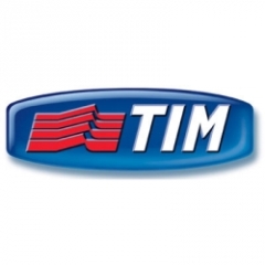  tim