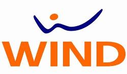 wind business partita iva